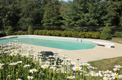 Products For Gunite Pool Repairs in use